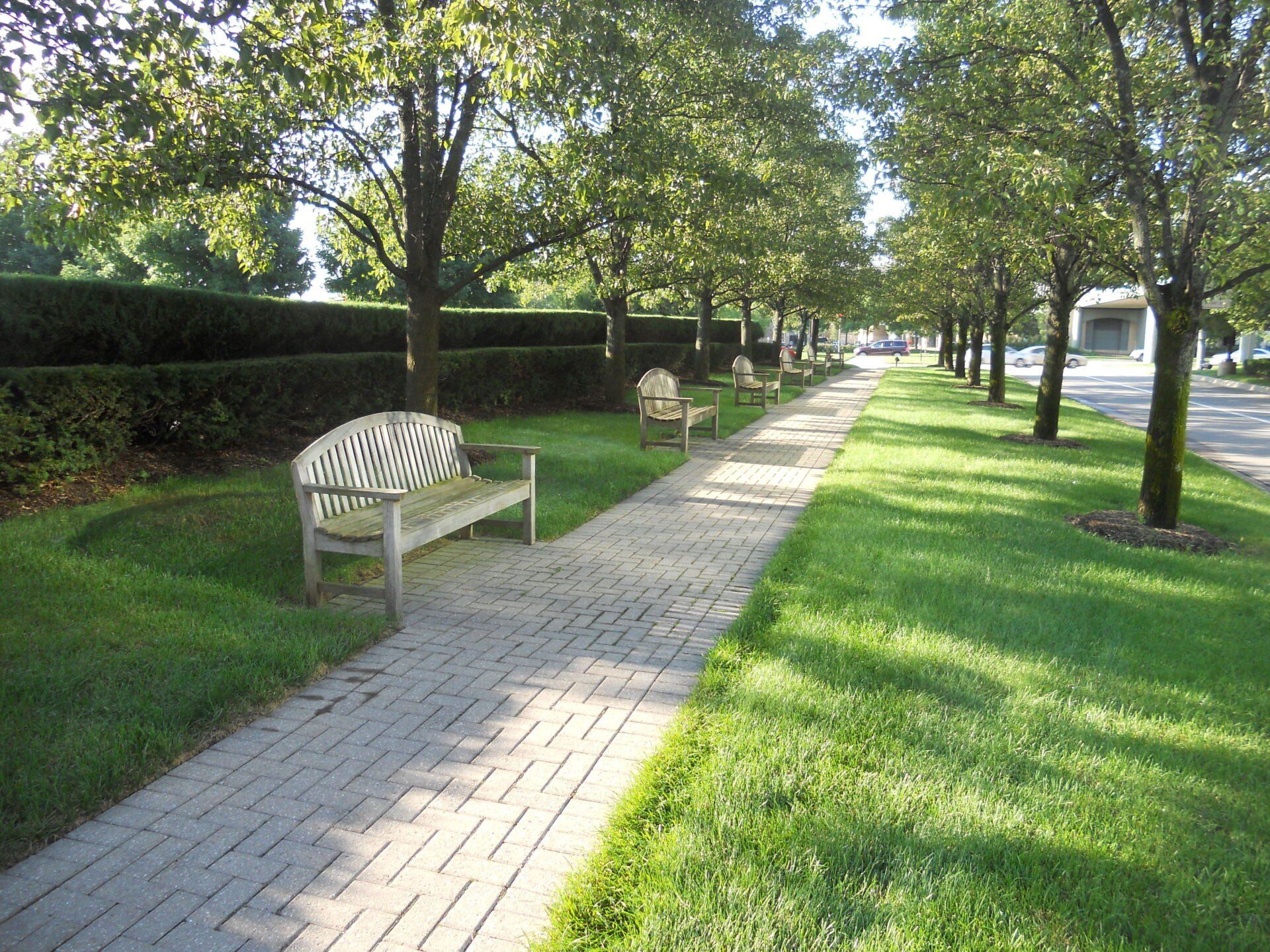 A row of benches along a brick walkway in a park