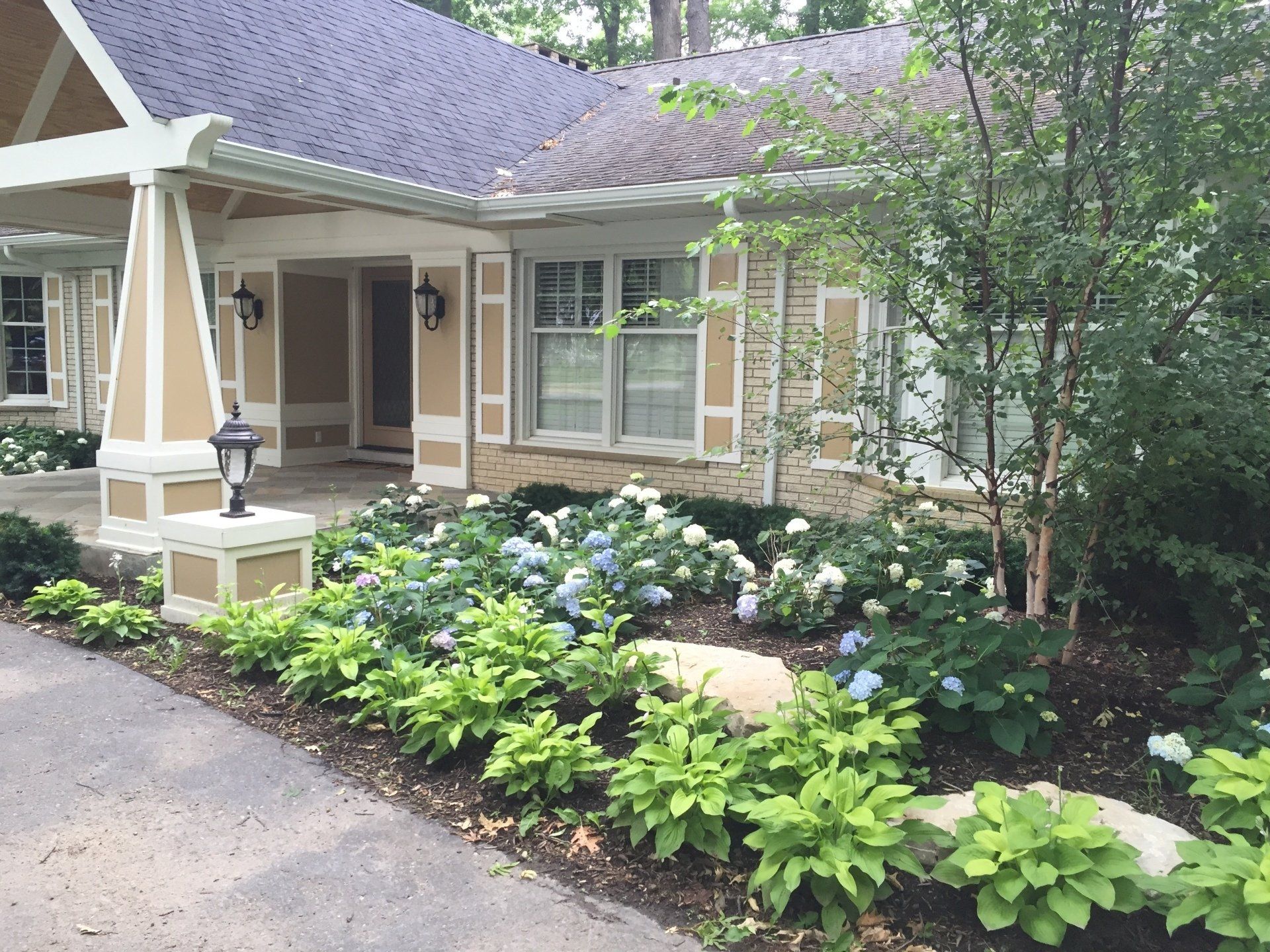 A house with a purple roof and a driveway leading to it