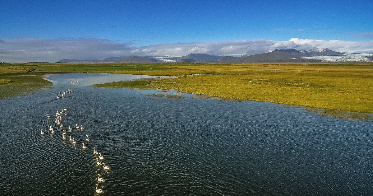 Votlendissjóður — Icelandic Wetland Fund: National Peatland Rewetting & Carbon Pilot