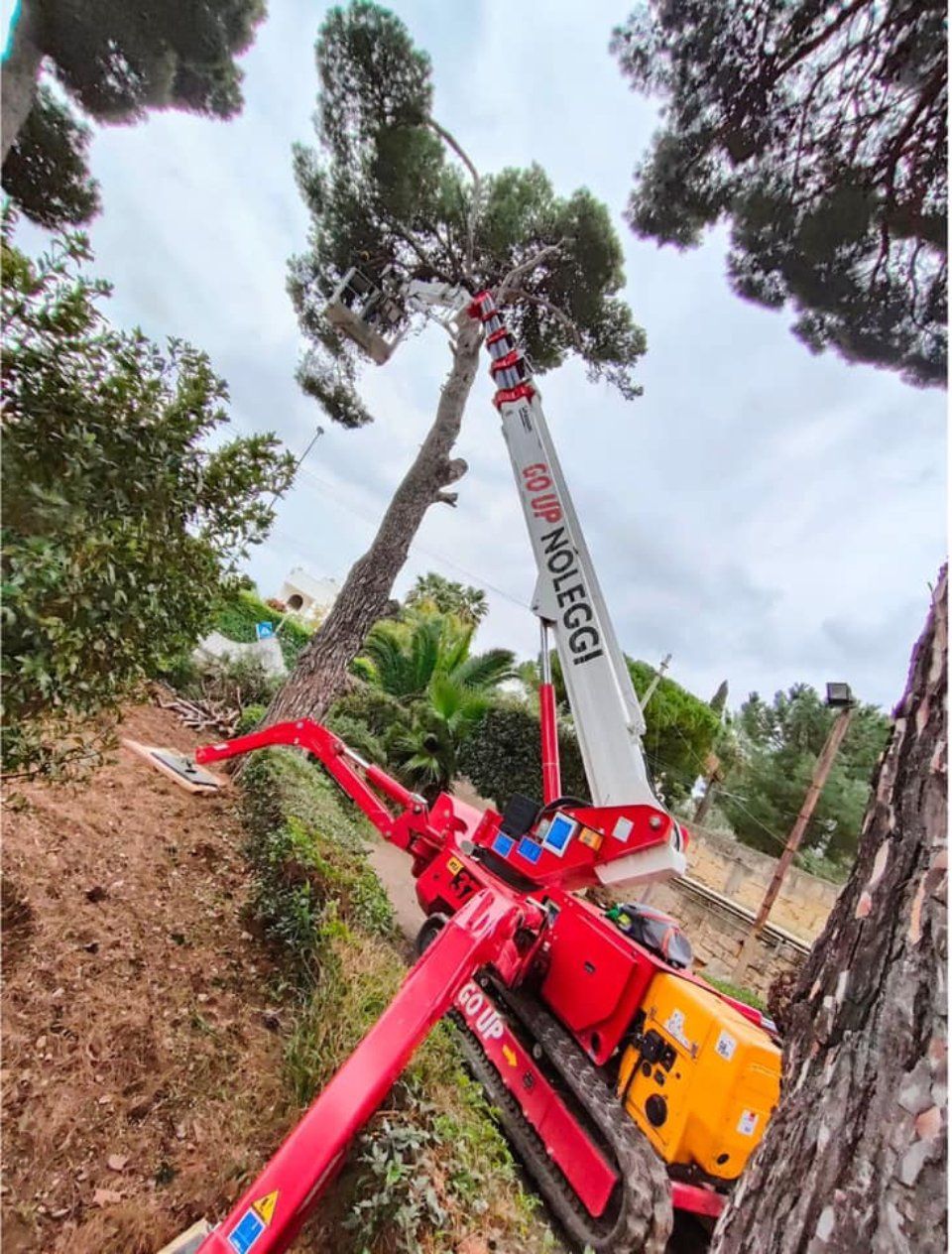 Ragni elevatori per potatura