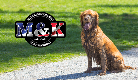 A muddy dog is sitting on a gravel path.