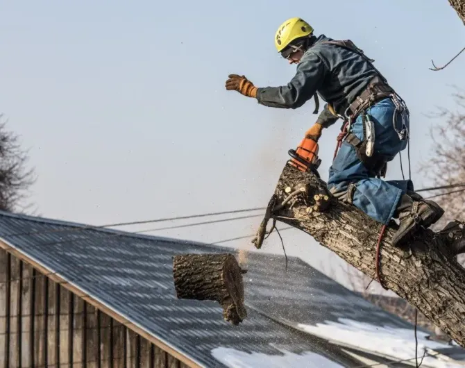 Arborist cutting a tree section near a residential roof.