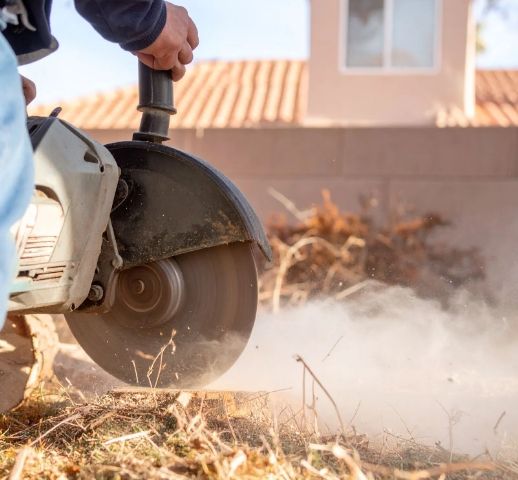 Professional arborist using a stump grinder on a tree base.