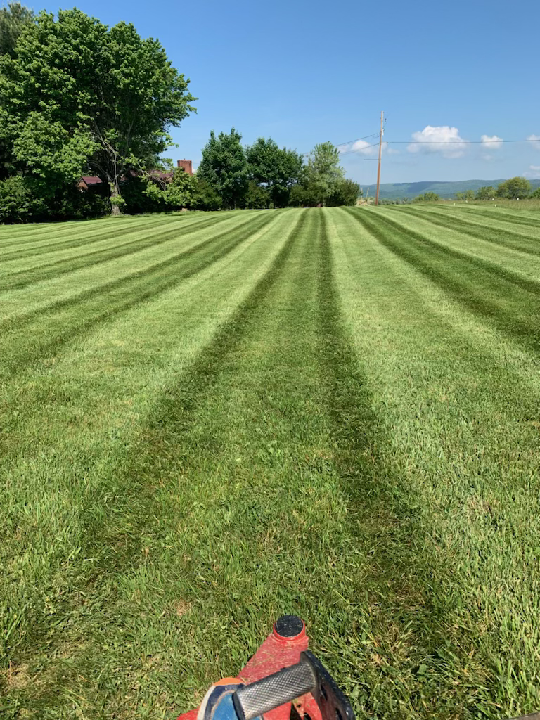 lawn care blacksburg va, lawn care christiansburg va, lawn care montgomery county