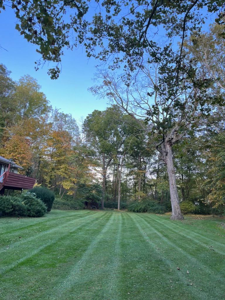 lawn care blacksburg va, lawn care christiansburg va, lawn care montgomery county