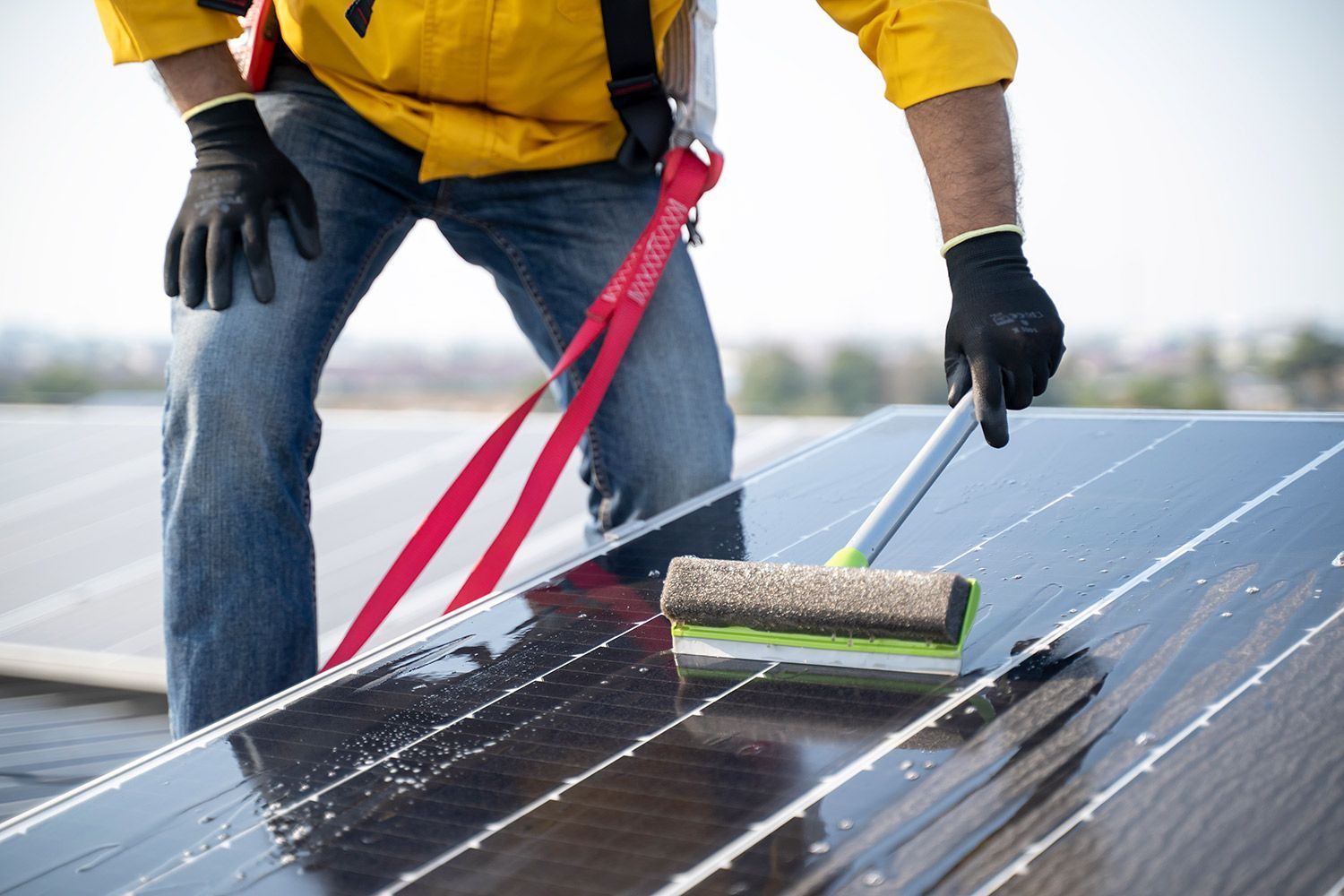 Solar Panel Cleaning Service