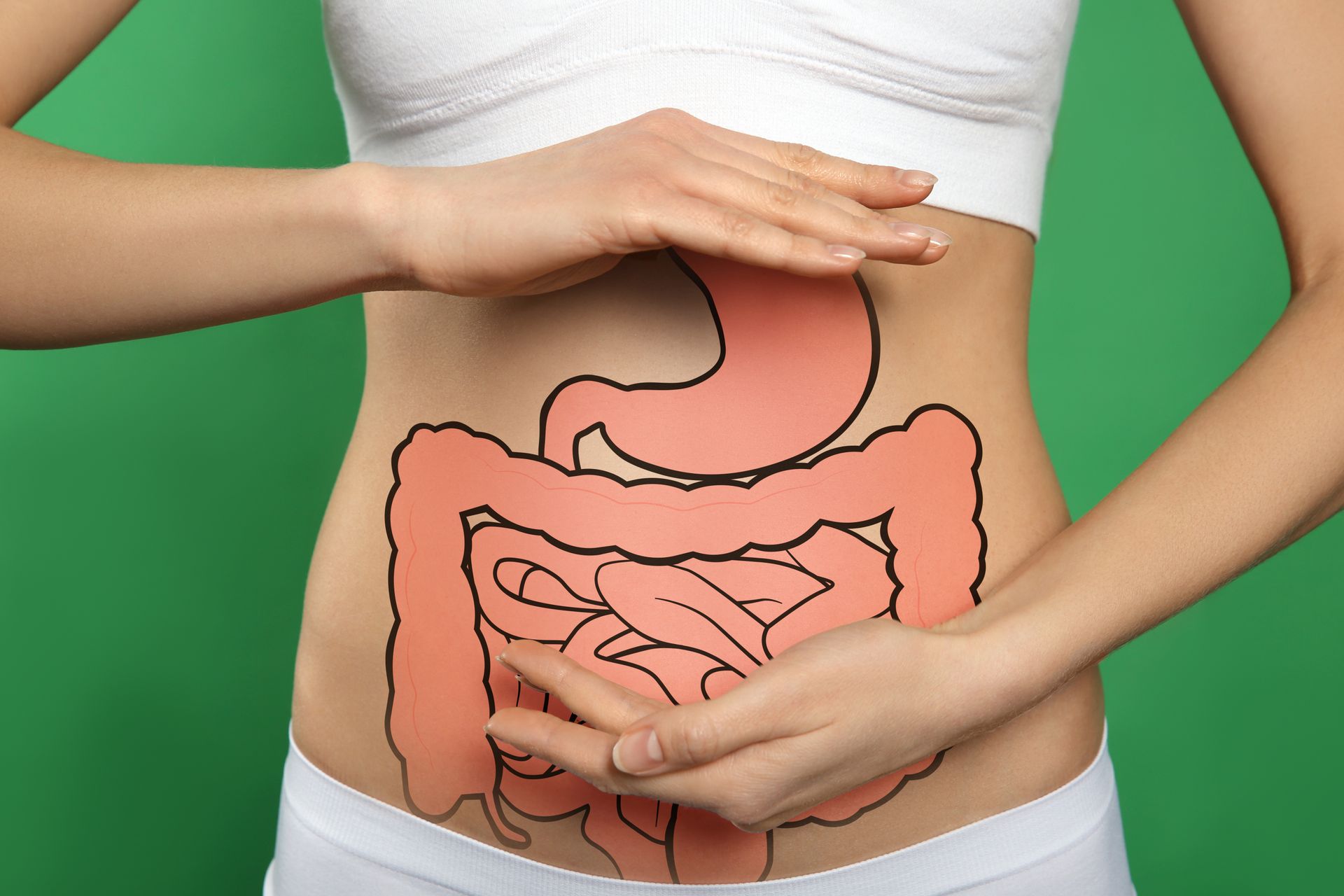 Woman holding stomach with illustrated digestive system on skin. Woman holding stomach with illustrated digestive system on skin.