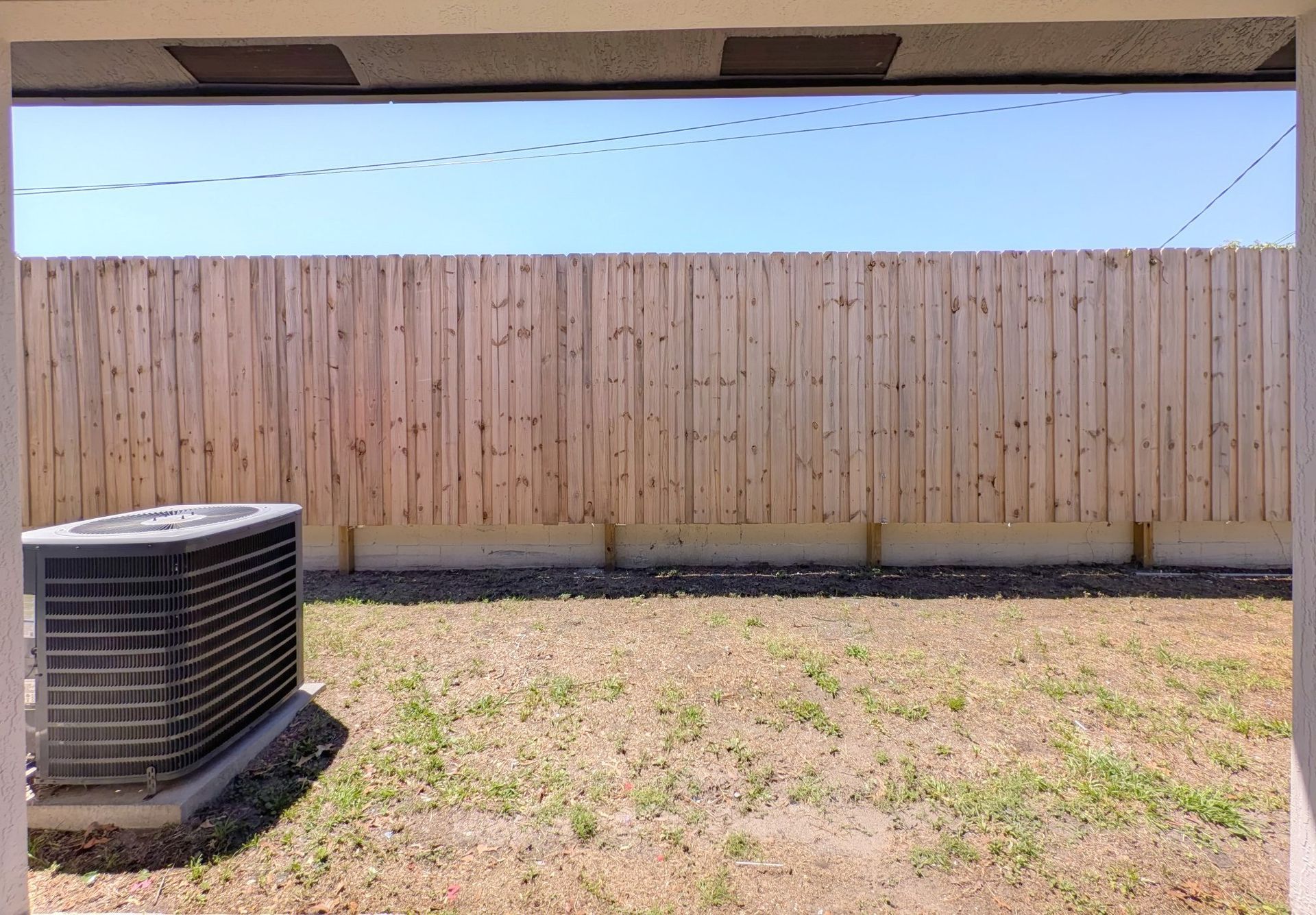 Yellow Pine Backyard