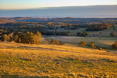 A View of a Grassy Hillside With Trees and a City in the Distance — Shane’s Car Detailing & Office Cleaning in Barraba, NSW