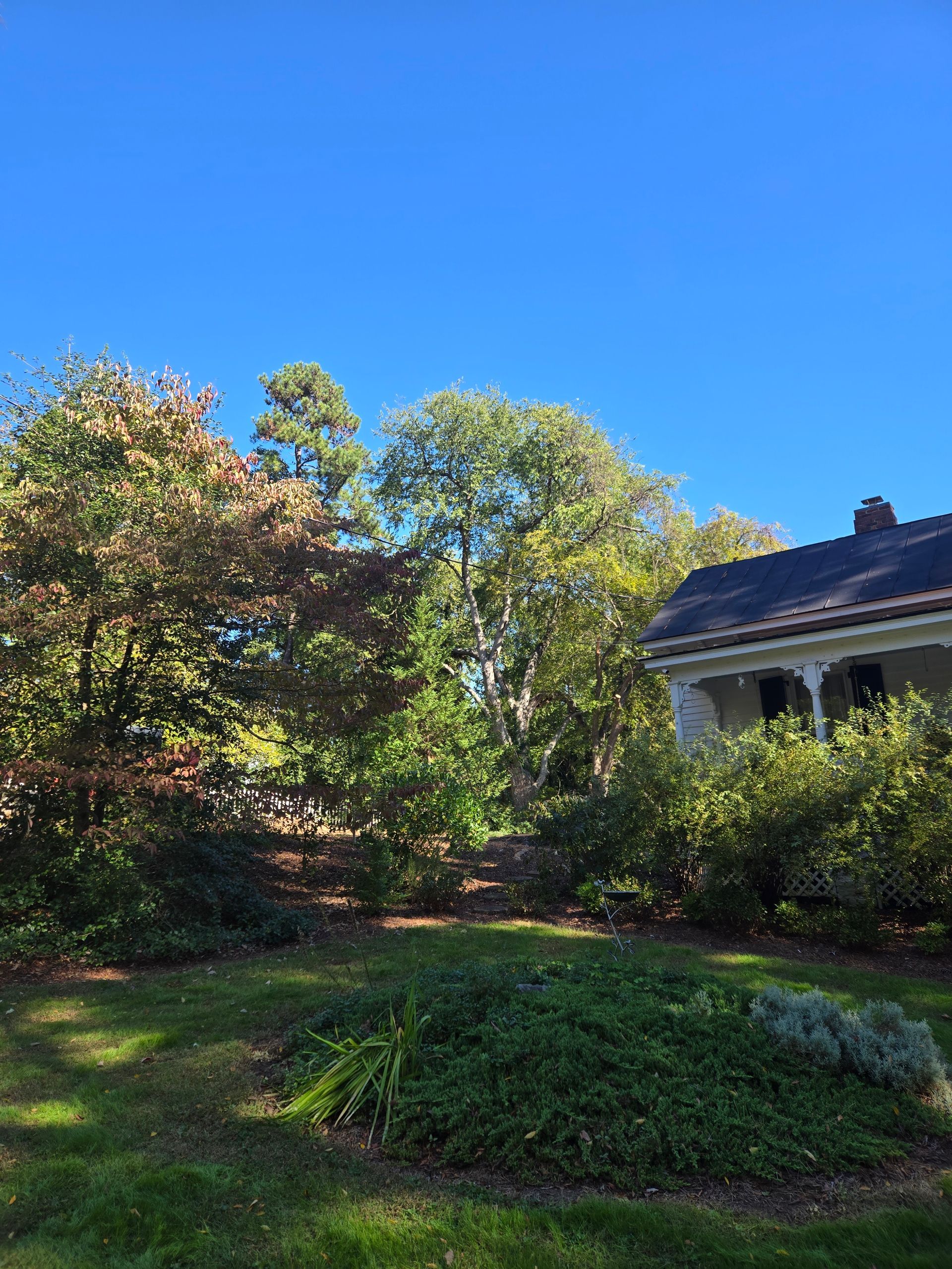 tree removal services clarksville, va
