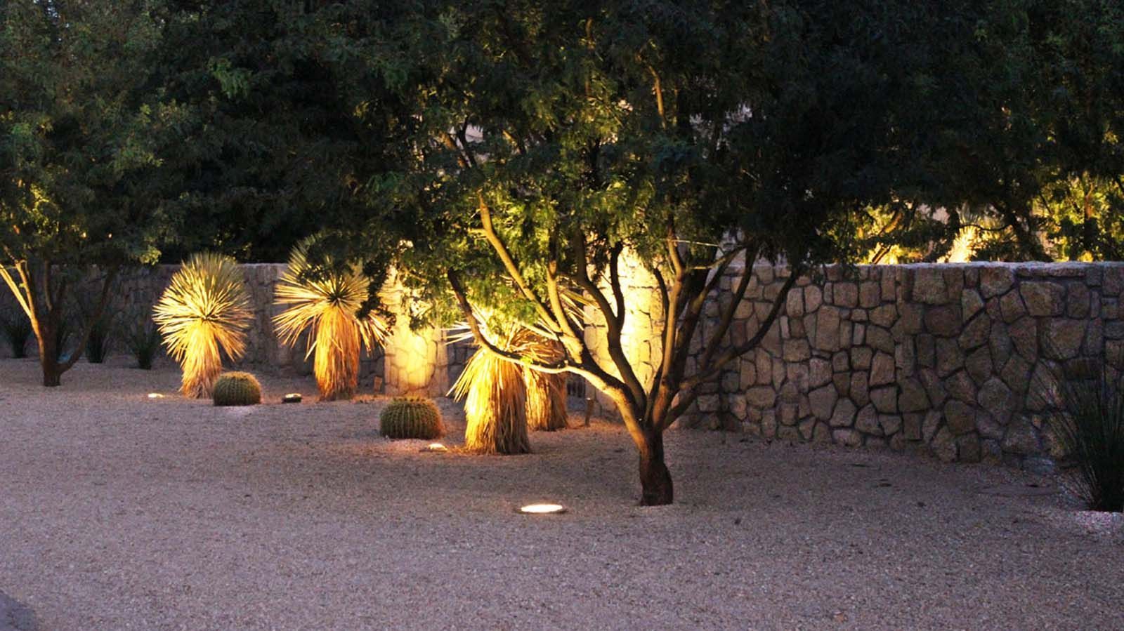 A stone wall is surrounded by trees and bushes lit up at night.