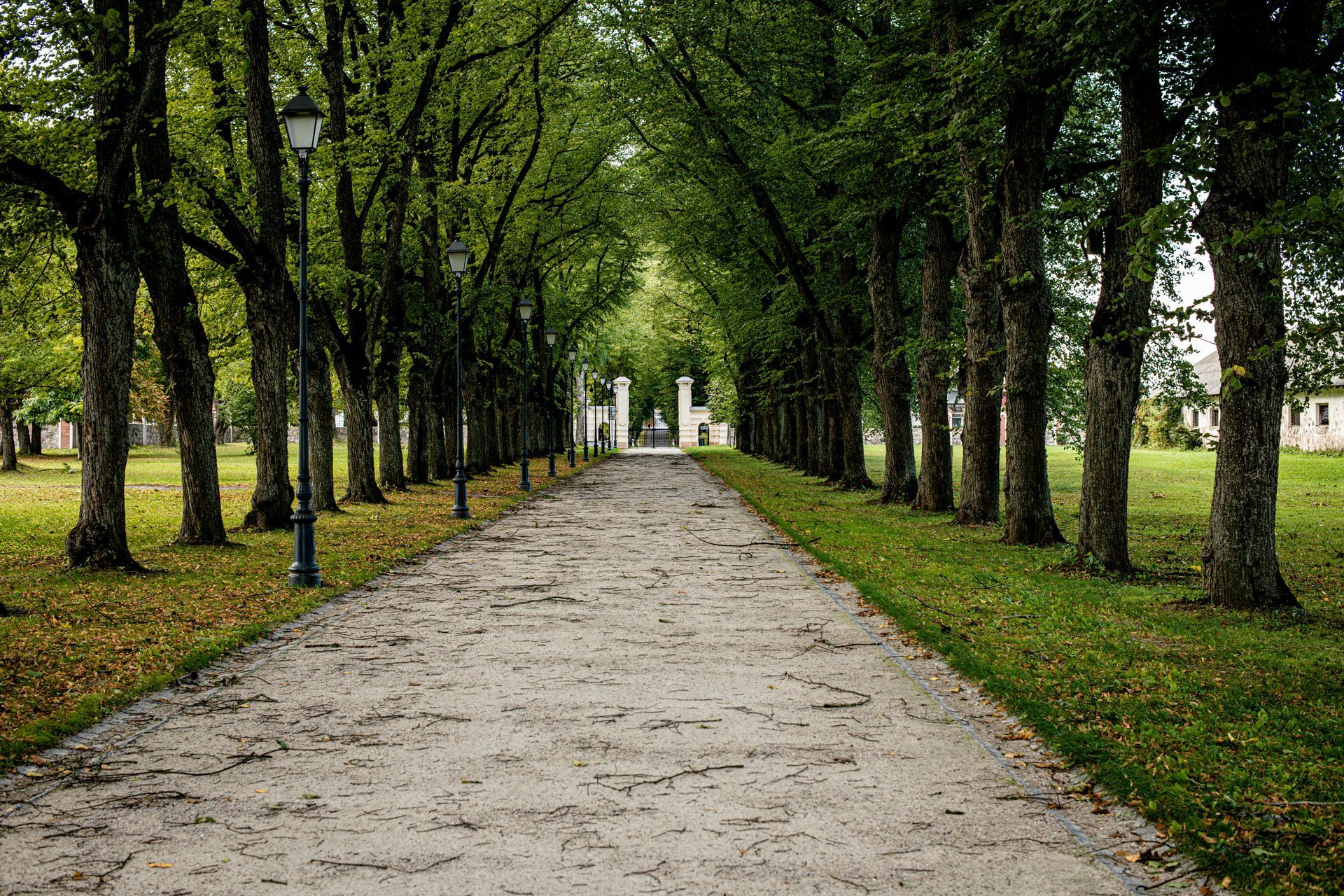 A long, sandy path lined with trees leads to a white gate. Green grass flanks the path.