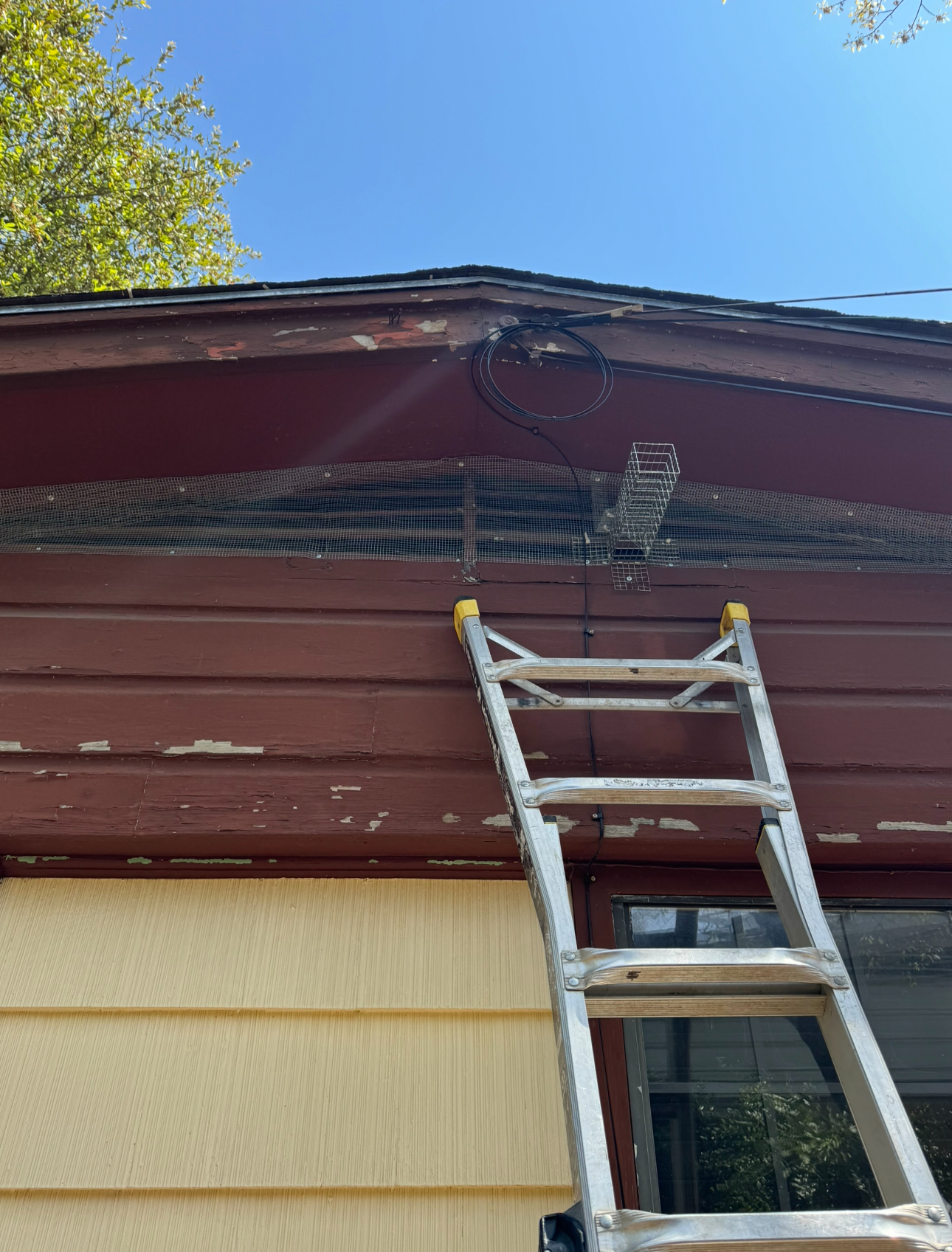 Ladder against a house with tangled wires under the roofline.