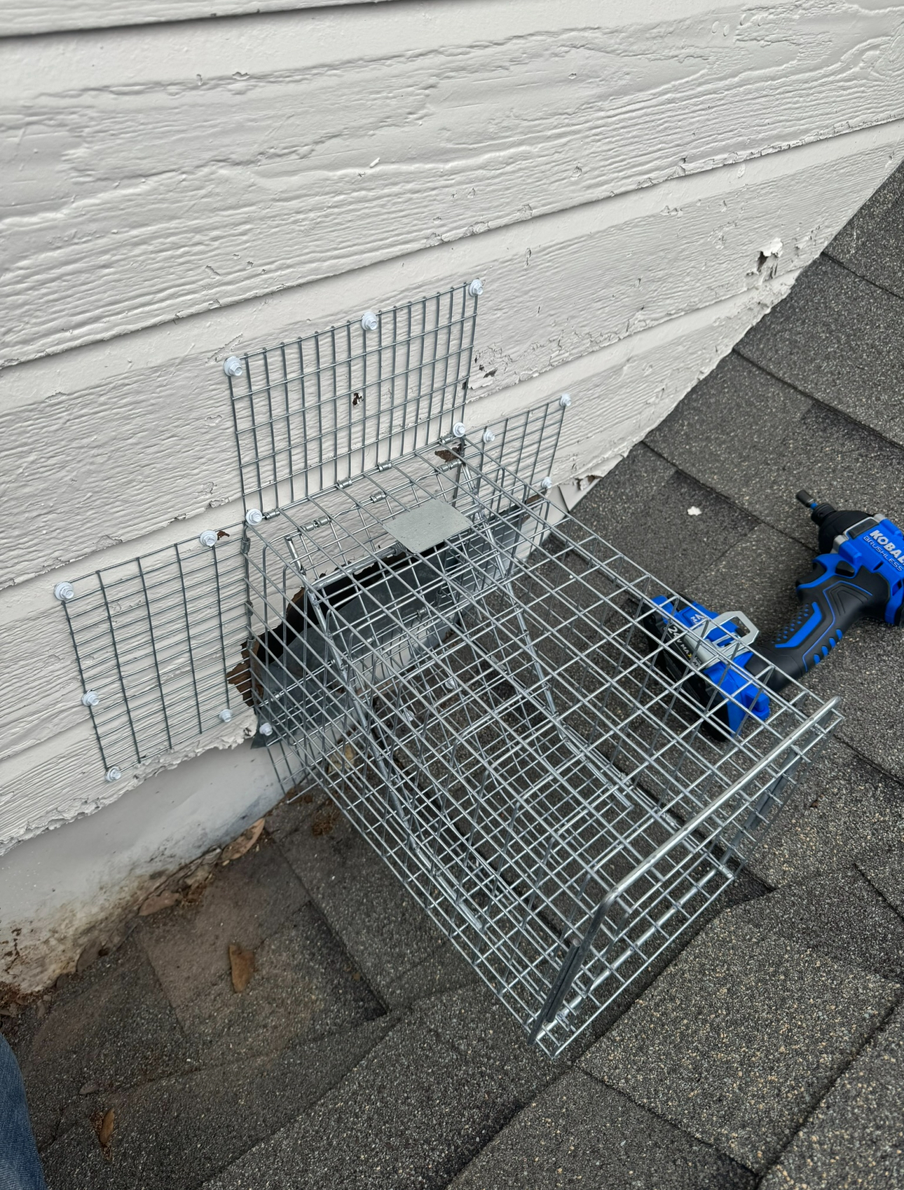 A cage trap secured near siding and roof shingles, possibly to catch small animals.