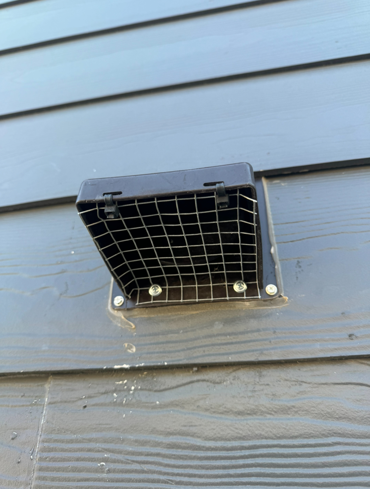 Black vent cover with wire mesh on gray siding.
