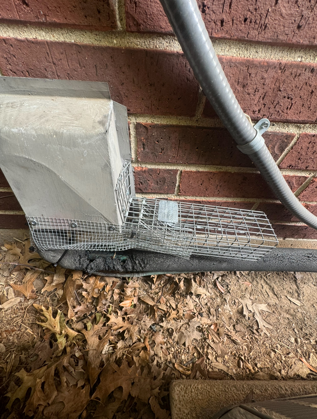 Metal mesh covering a vent on a brick building. Gray pipe and concrete are also visible.