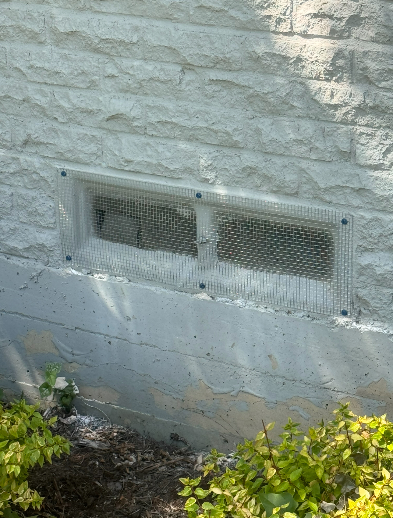 Window with security grate in a stone wall, low to the ground, above greenery.