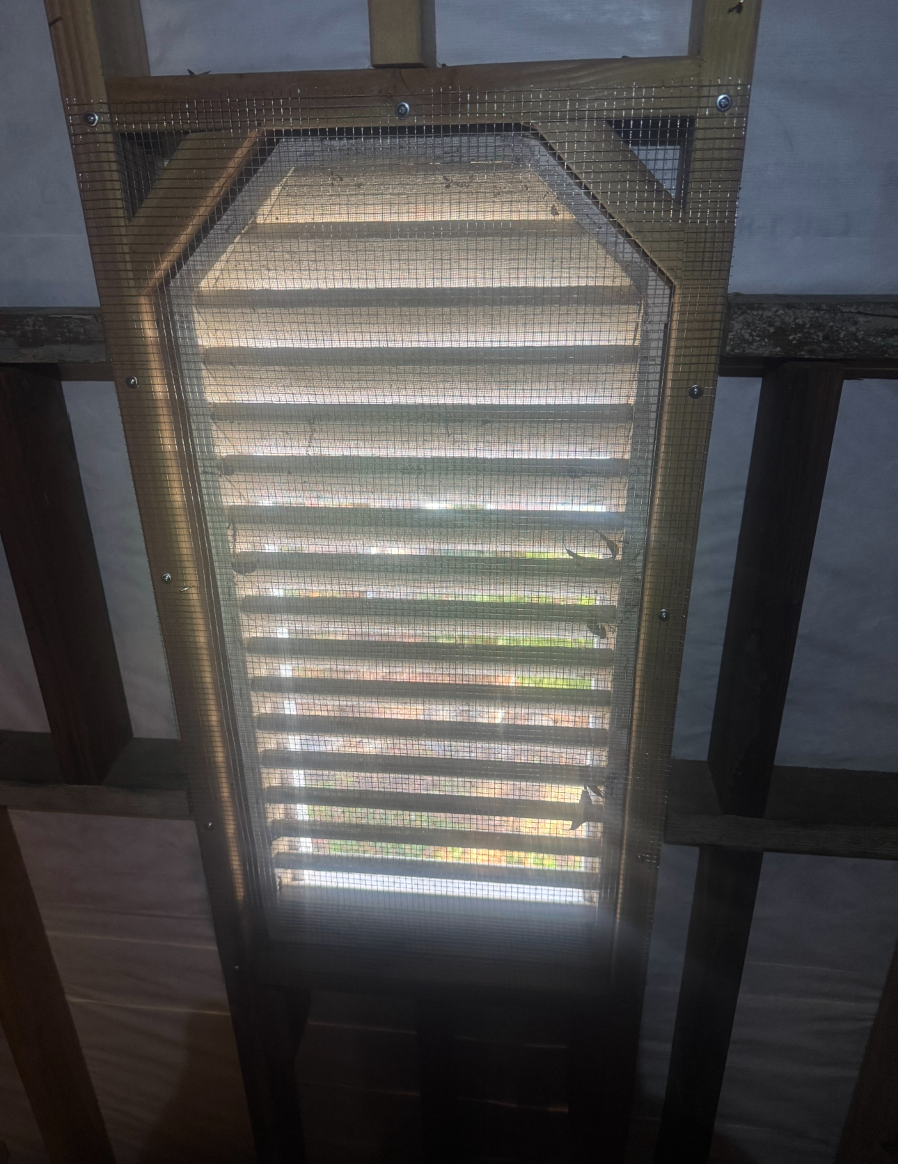 Bat house constructed of wood with slats, covered in mesh.