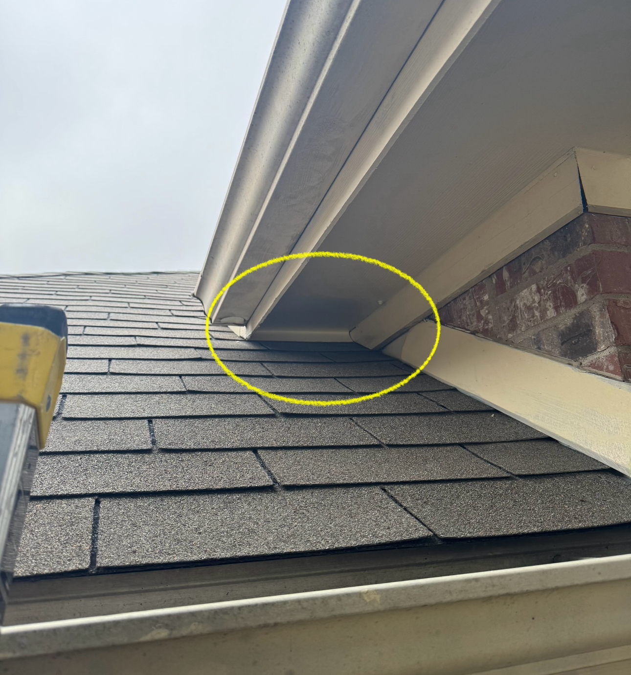 Close-up of a roof with a yellow-circled section where the roof meets the overhang, showing potential damage.