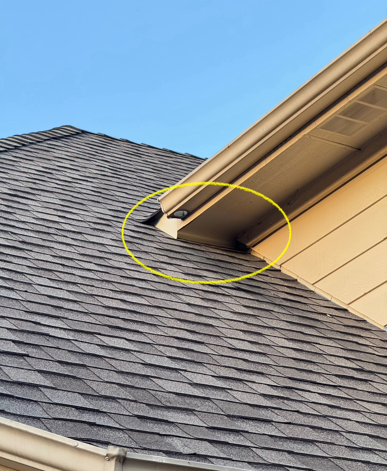 A dark roof with shingles meets a tan soffit. Two small dark objects sit on the roof near the soffit.