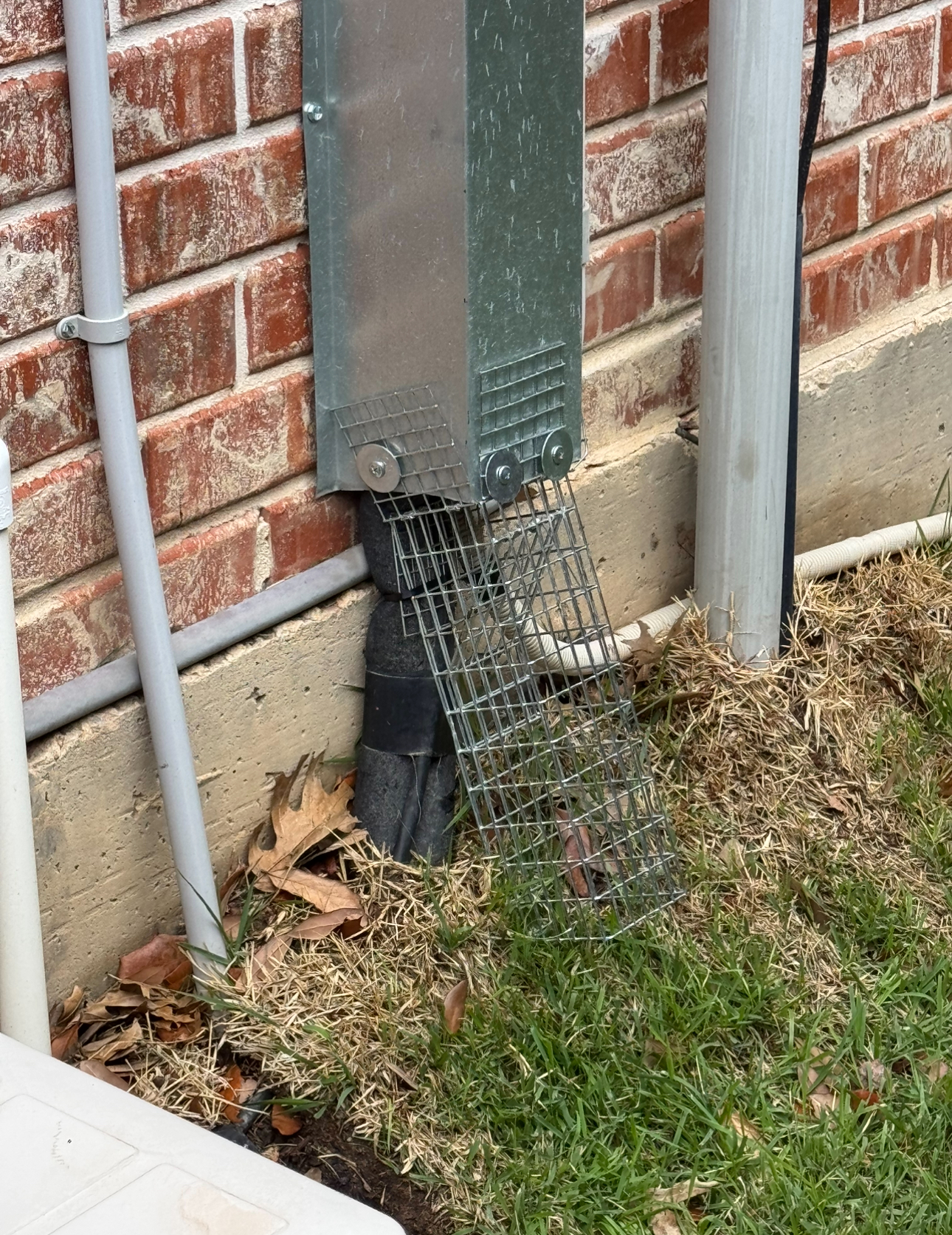 Downspout with metal mesh guard against a brick wall and concrete foundation, on a grassy yard.