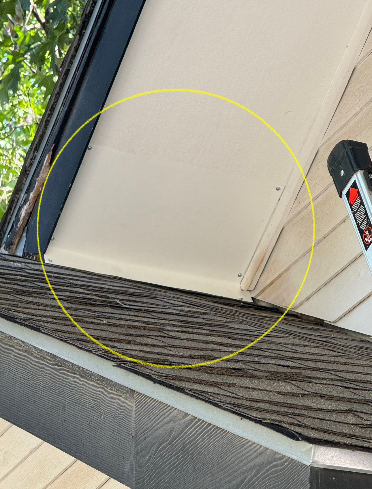 A yellow-circled section of a roof, revealing white under-eaves and dark shingles.
