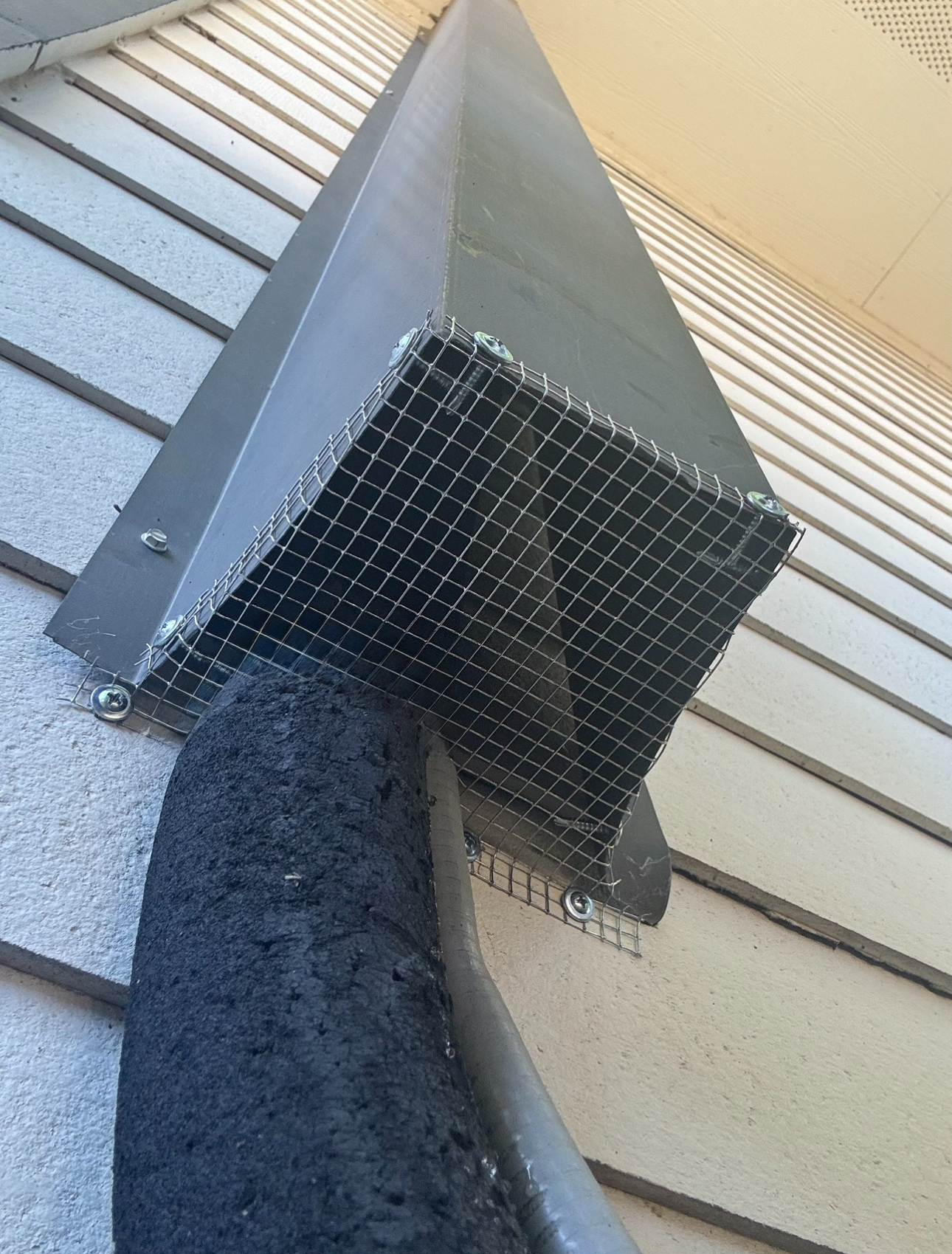 Metal vent on a shingled roof, covered by mesh screen. Black foam insulation is attached.