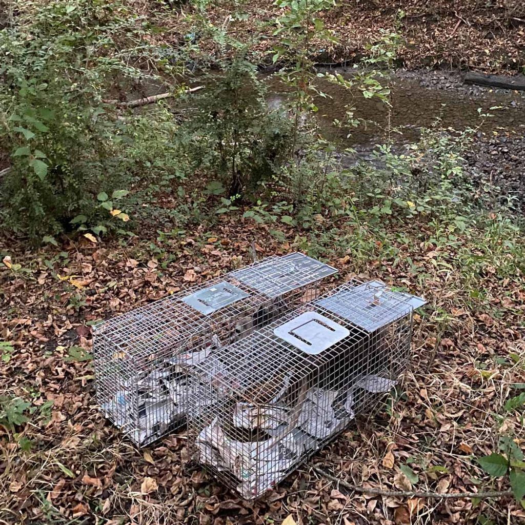 A couple of cages sitting on top of a pile of leaves next to a river.