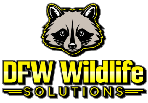 DFW Wildlife Solutions logo