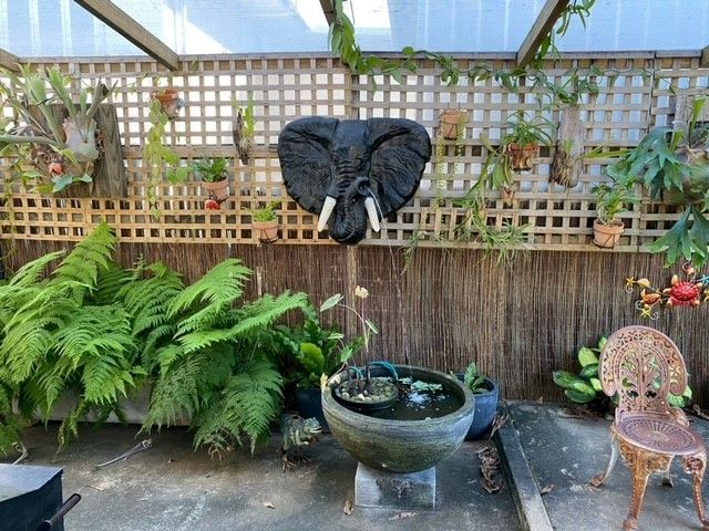 A Statue of an Elephant's Head is Hanging on a Wall in a Garden — Sun City Pools In Hyde Park, QLD