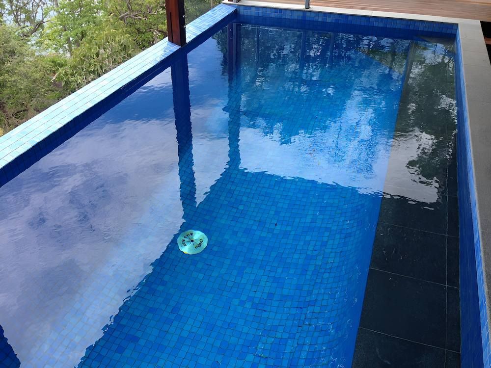 A Large Swimming Pool With Blue Tiles and Trees in the Background — Sun City Pools In Hyde Park, QLD