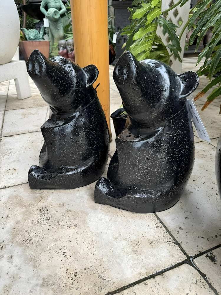 Two Black Bear Statues Are Sitting Next to Each Other on a Tiled Floor — Sun City Pools In Hyde Park, QLD
