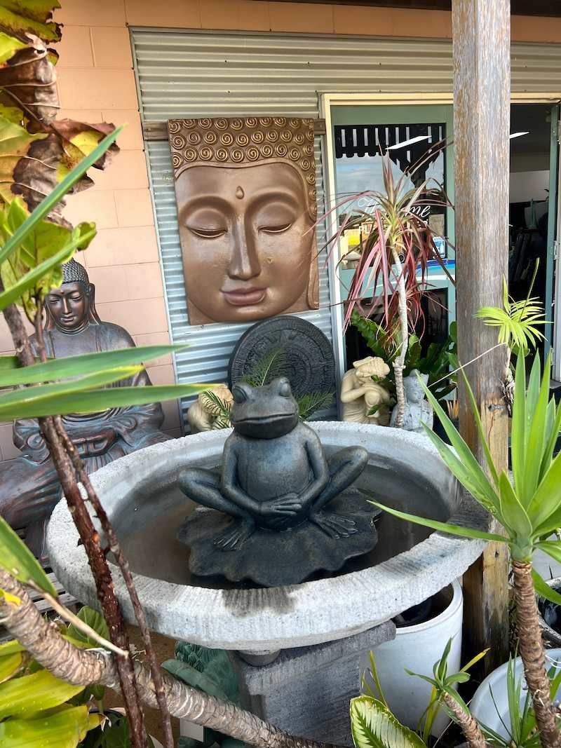 A Frog Sculpture Sitting on the Small Pond with Water — Sun City Pools In Hyde Park, QLD