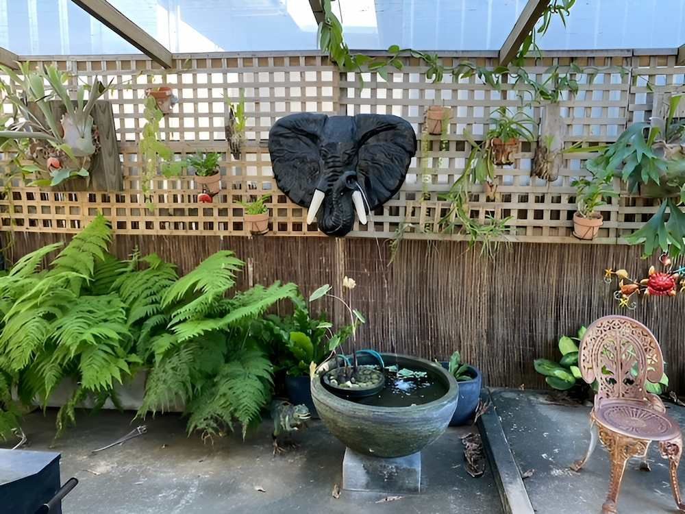 A Statue of an Elephant 's Head is Hanging on a Wall in a Garden — Sun City Pools In Hyde Park, QLD