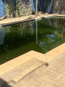 Green Pool Recovery before— Sun City Pools In Hyde Park, QLD