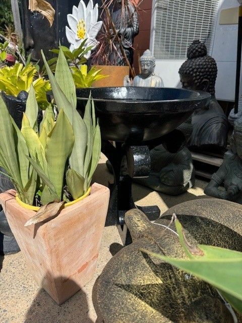 A Gray Fountain Feature With Flowing Water and Plants Background — Sun City Pools In Hyde Park, QLD