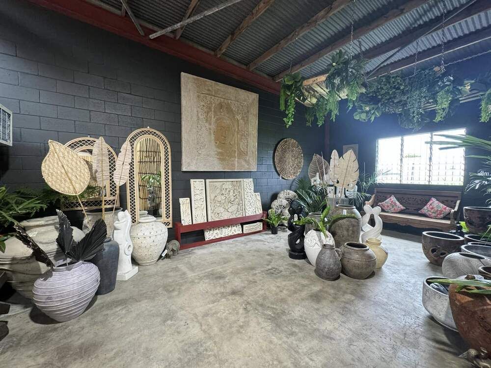A Living Room Filled With Lots of Vases and Plants — Sun City Pools In Hyde Park, QLD