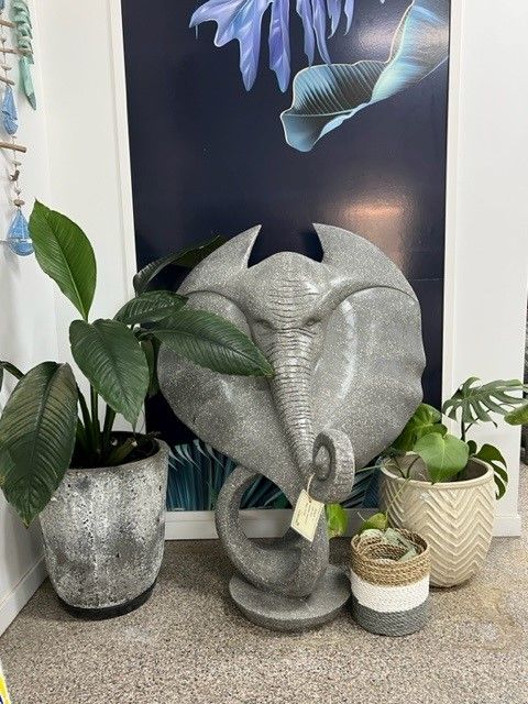 A Statue of an Elephant's Head is Surrounded by Potted Plants — Sun City Pools In Hyde Park, QLD