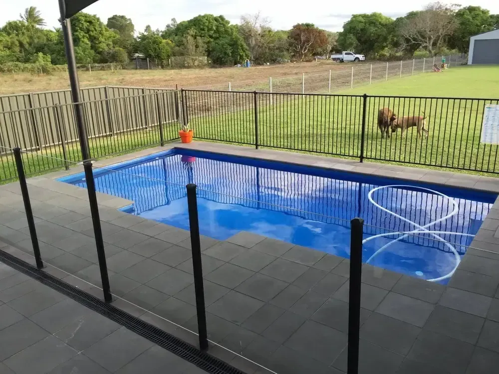 A Large Swimming Pool Surrounded by a Fence and a Dog — Sun City Pools In Hyde Park, QLD