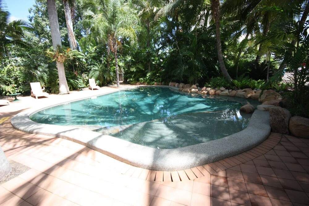 A Large Swimming Pool is Surrounded by Palm Trees — Sun City Pools In Hyde Park, QLD