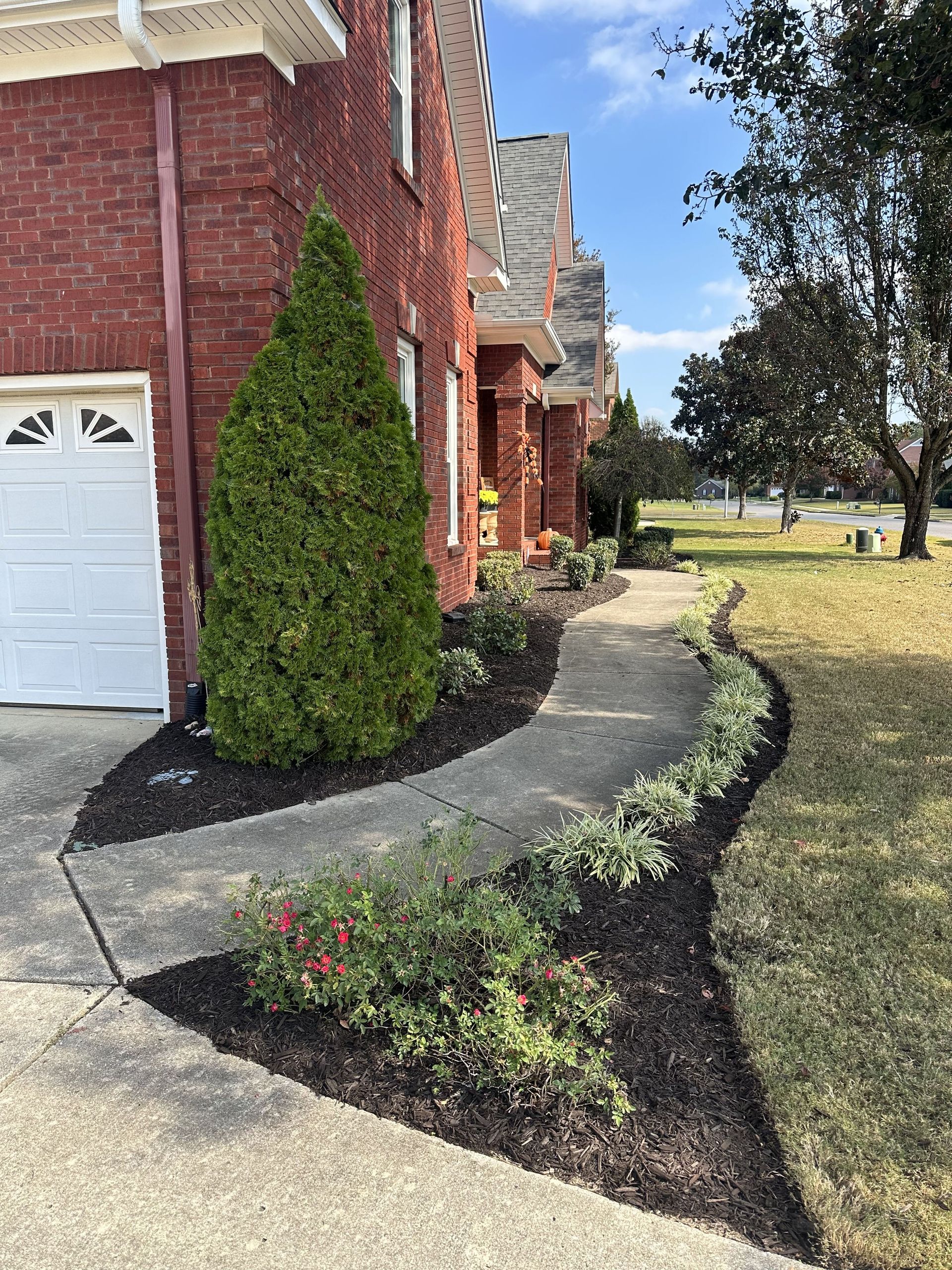 Brick house with a curved sidewalk lined with plants and mulch.
