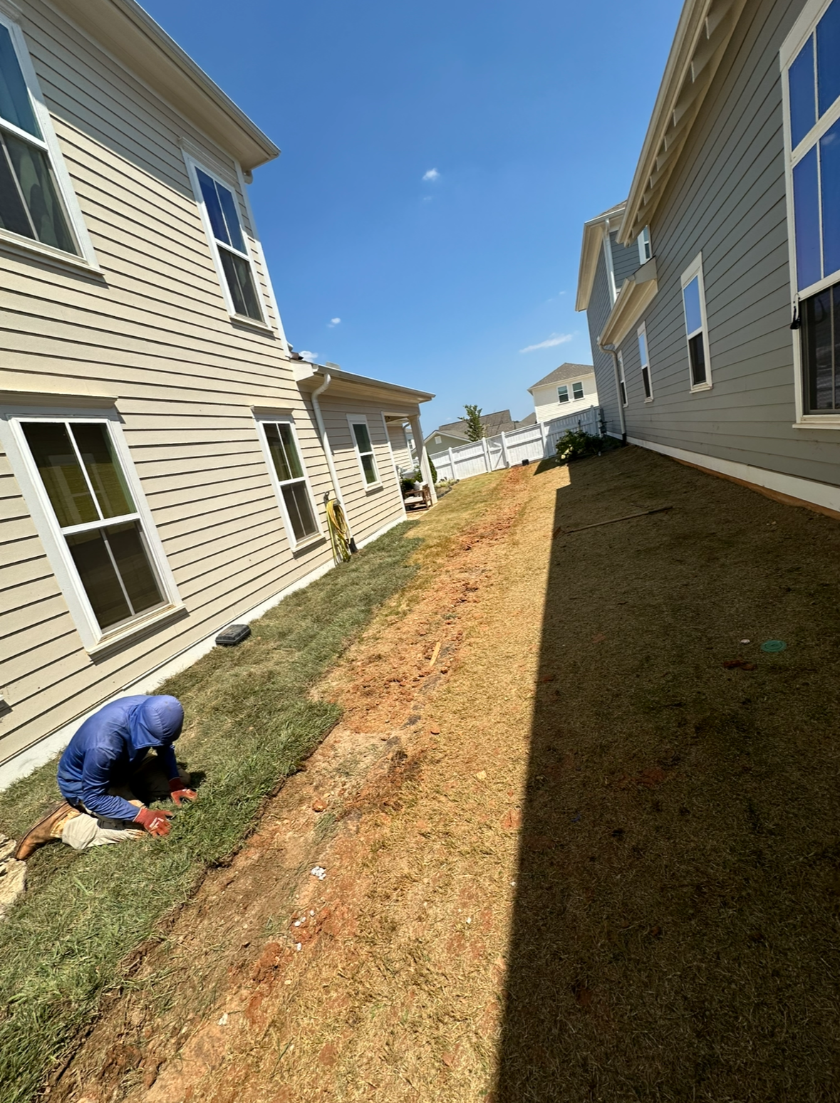 A worker laying sod on a sloped yard between two light-colored houses on a sunny day.