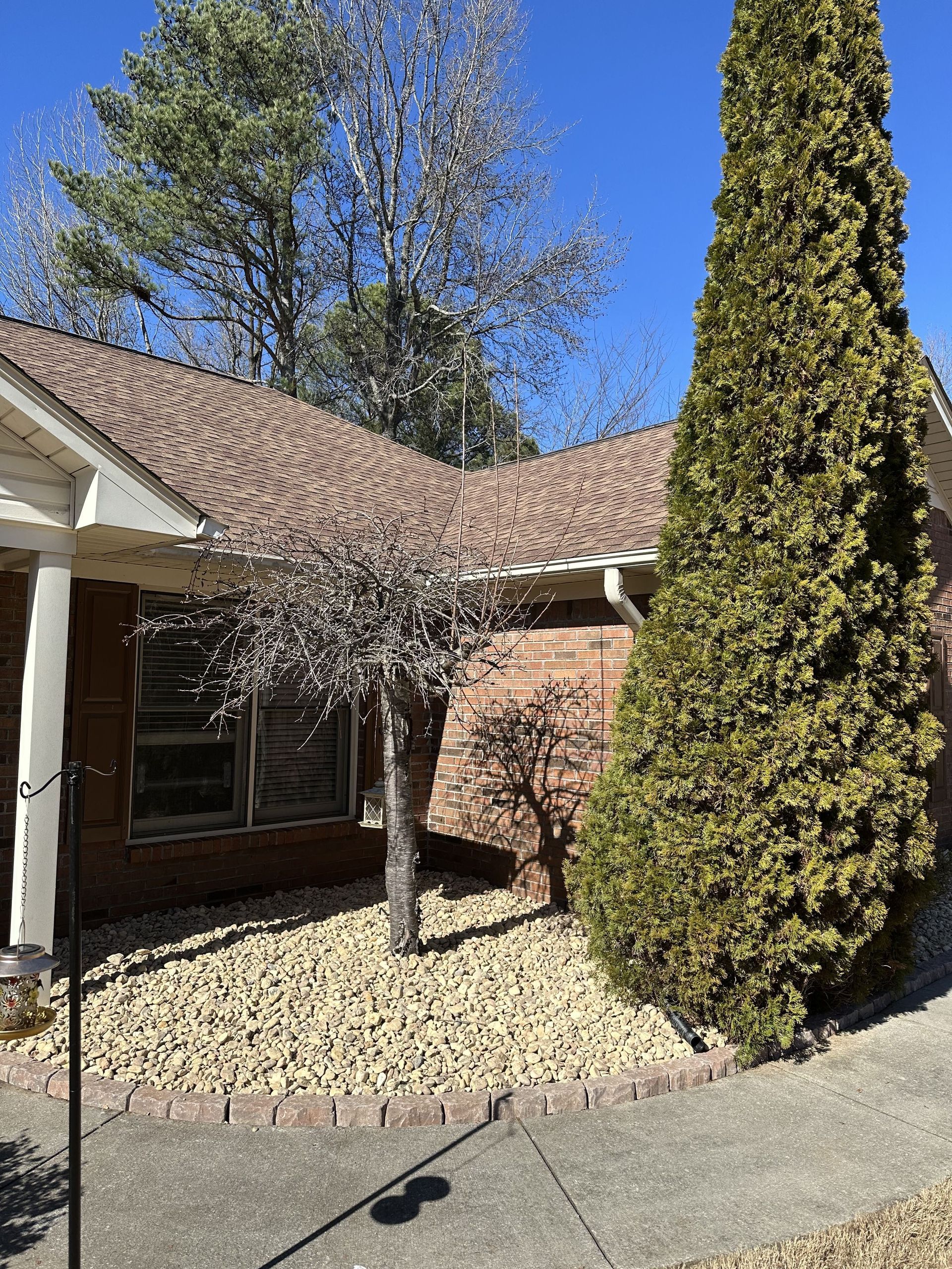 House exterior with brick facade, brown roof, and landscaping of small trees and gravel.