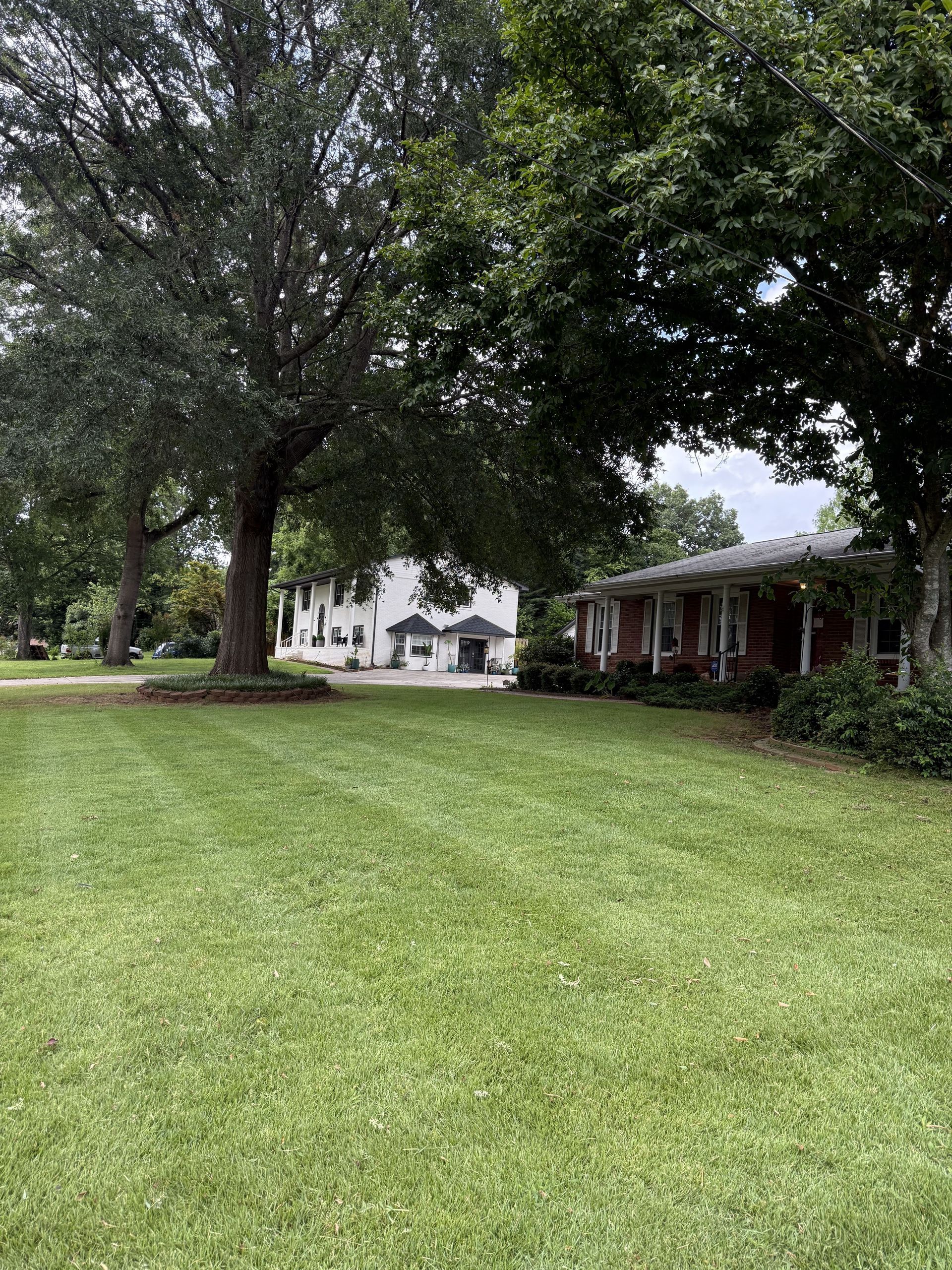 Lush green lawn with a house to the right and a larger white building in the background, shaded by trees.