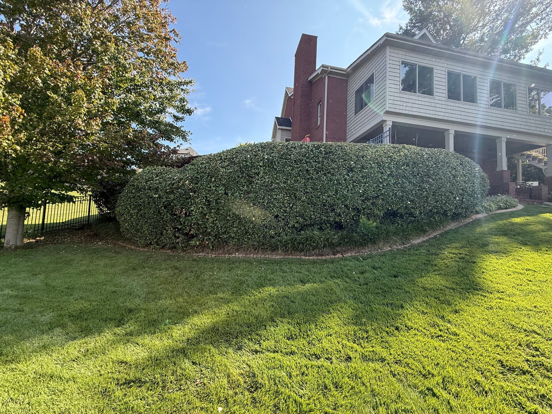 Green hedge in front of a two-story house on a sunny day.