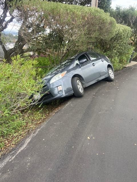 Gray Toyota Prius off road, partially in bushes, on an asphalt road.