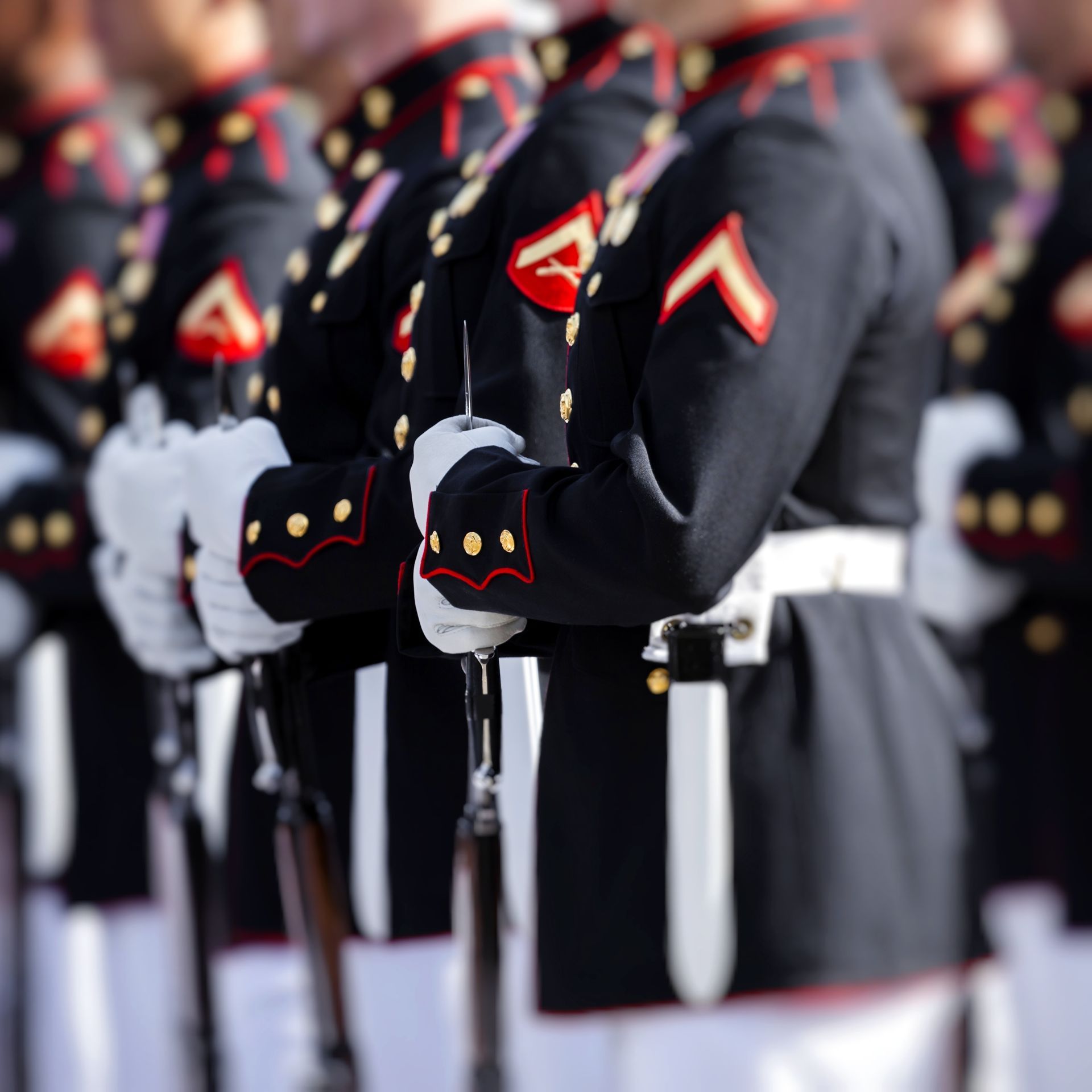 Uniformed military personnel standing in formation with rifles, wearing dark dress uniforms and white gloves