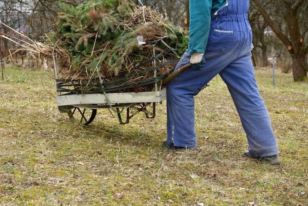 a man is pushing a wheelbarrow full of branches .