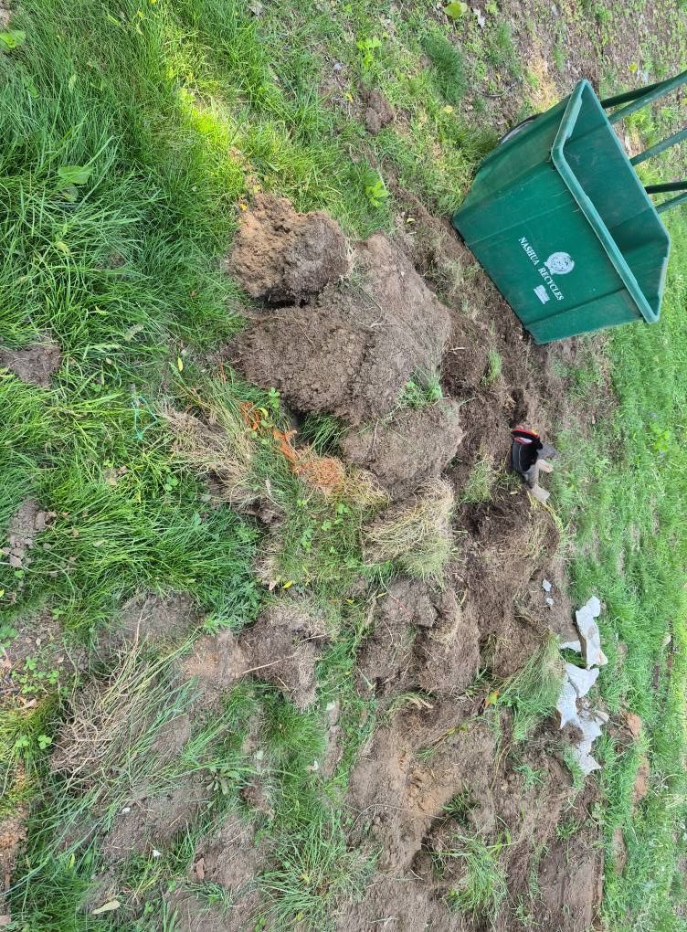 Pile of dirt and grass next to a green wheelbarrow on a grassy lawn.