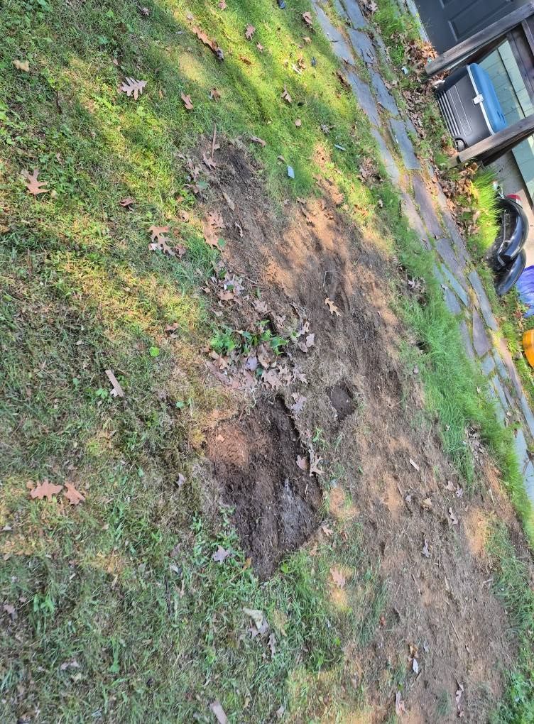 Dirt patch in a grassy yard, near stone path and building.